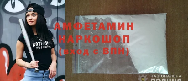 МДПВ Пересвет