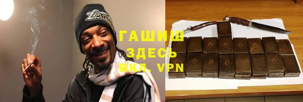 МДПВ Пересвет