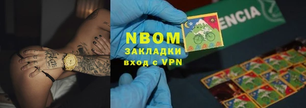 МДПВ Пересвет