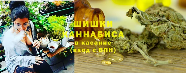 МДПВ Пестово