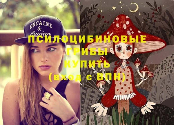МДПВ Пересвет
