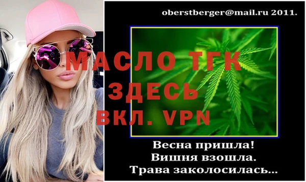 МДПВ Пересвет