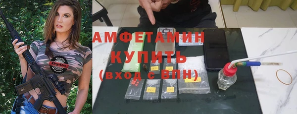 МДПВ Пересвет