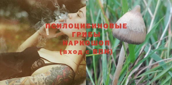 МДПВ Пересвет