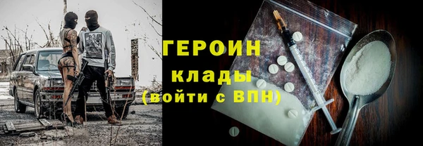 МДПВ Пересвет