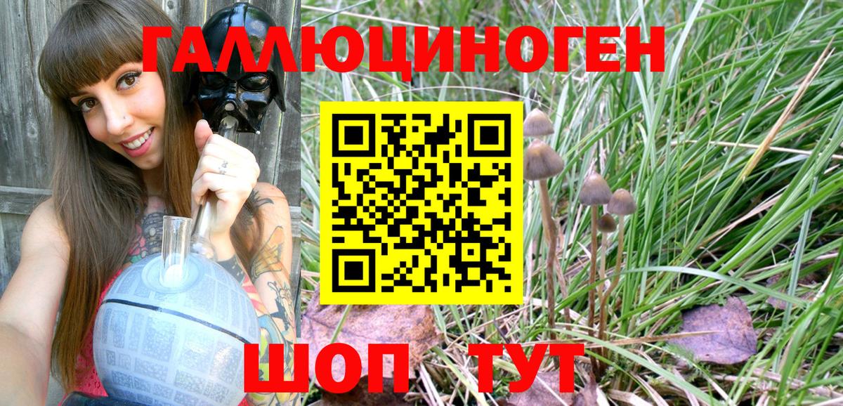 Псилоцибиновые грибы Cubensis  Биробиджан 