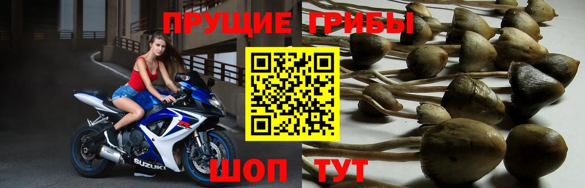 Биробиджан  как найти закладки  Галлюциногенные грибы Cubensis  Вход с VPN  Галлюциногенные грибы Magic Shrooms 