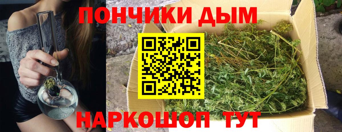 Каннабис сатива Биробиджан